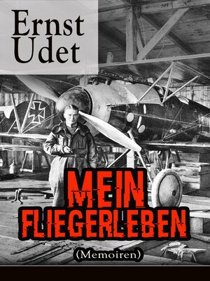 cover image of Mein Fliegerleben (Memoiren)